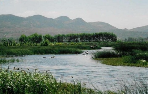 貴州草海國(guó)家級(jí)自然保護(hù)區(qū)