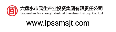 六盤水市民生產(chǎn)業(yè)投資集團有限責任公司的網(wǎng)址域名