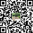 印江永義的微信公眾號二維碼